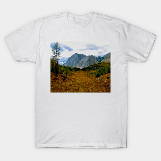 Kananaskis trail less travelled T-Shirt by StevenElliot